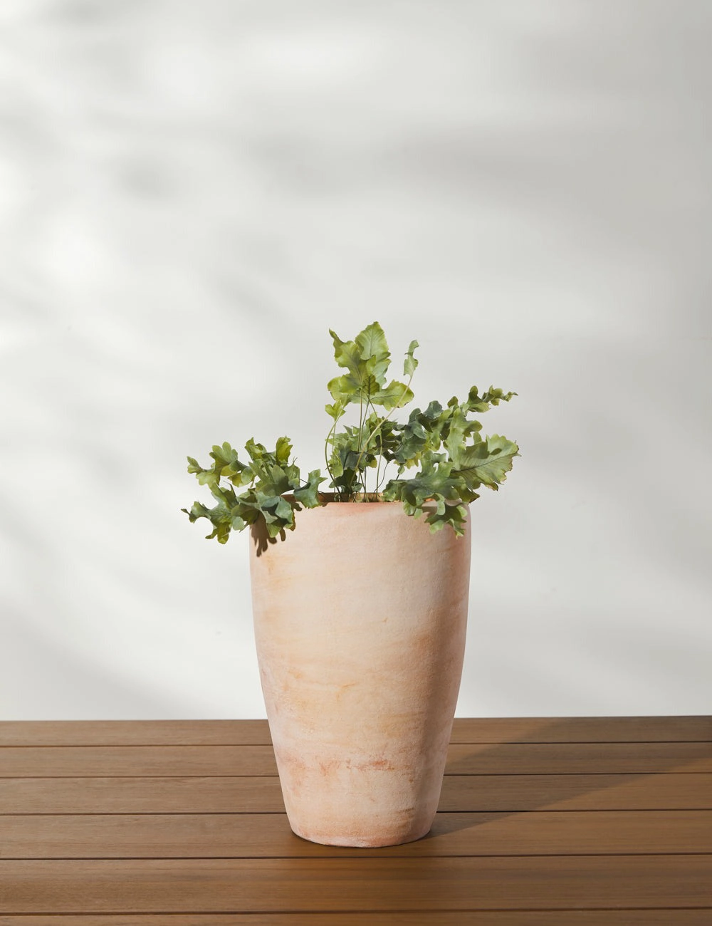 Abrielle Planter (Set of 2) by Campania International -  -