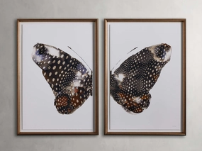 Aile Framed Print (Set of 2)