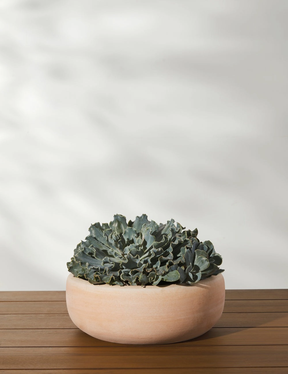Annalise Planter (Set of 2) by Campania International -  -