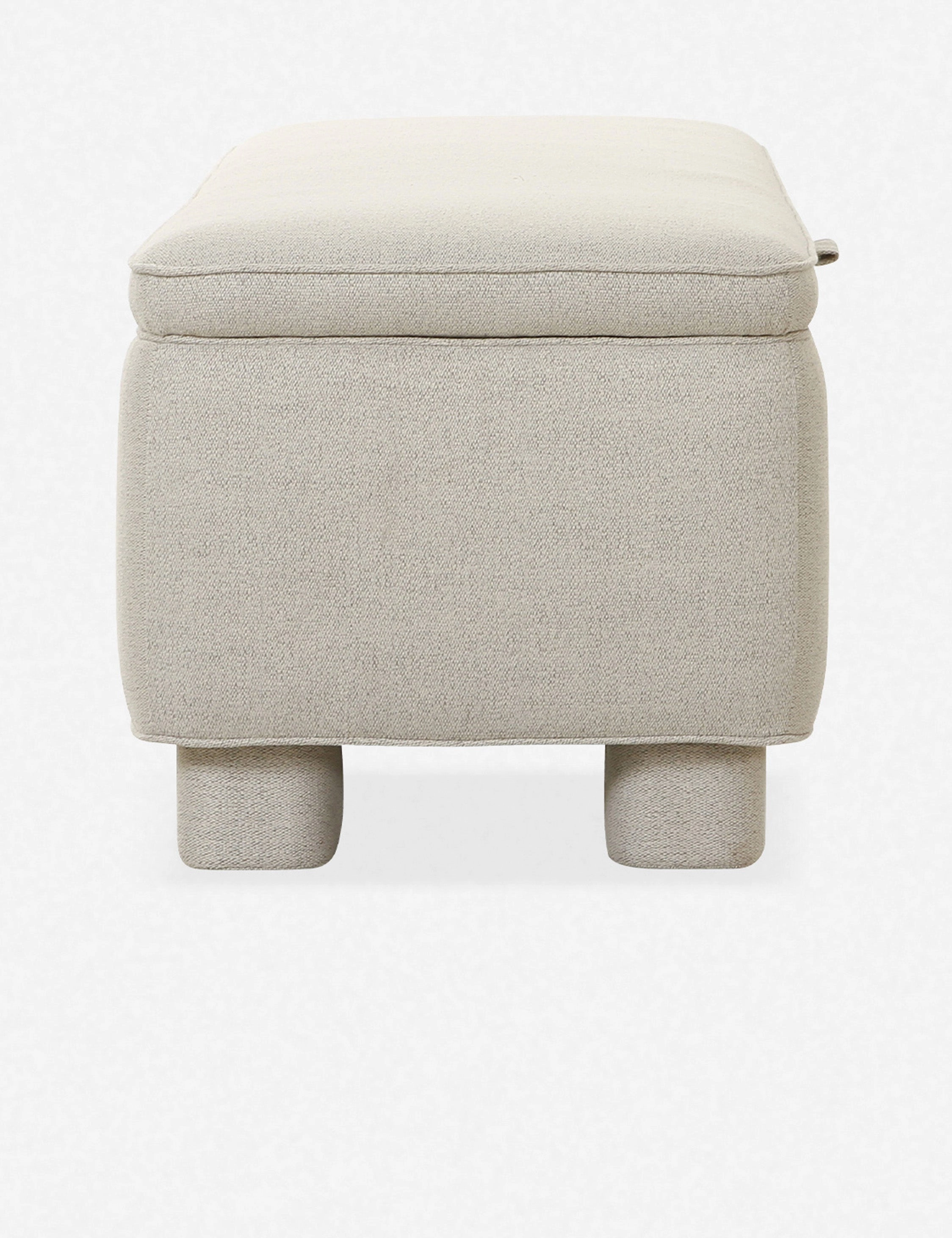 Asner Storage Bench
