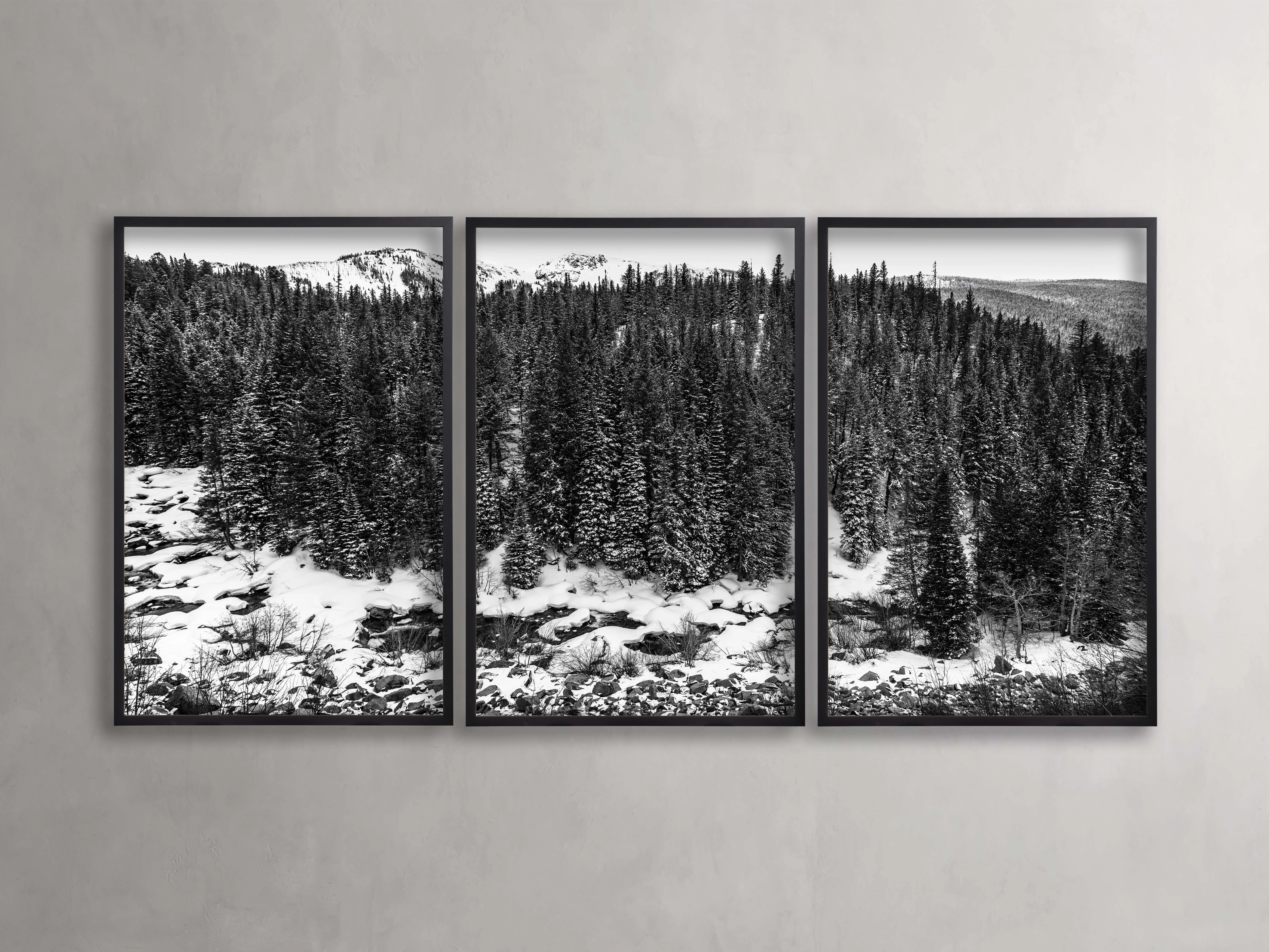 Aspen Allure III Framed Print (Set of 3)