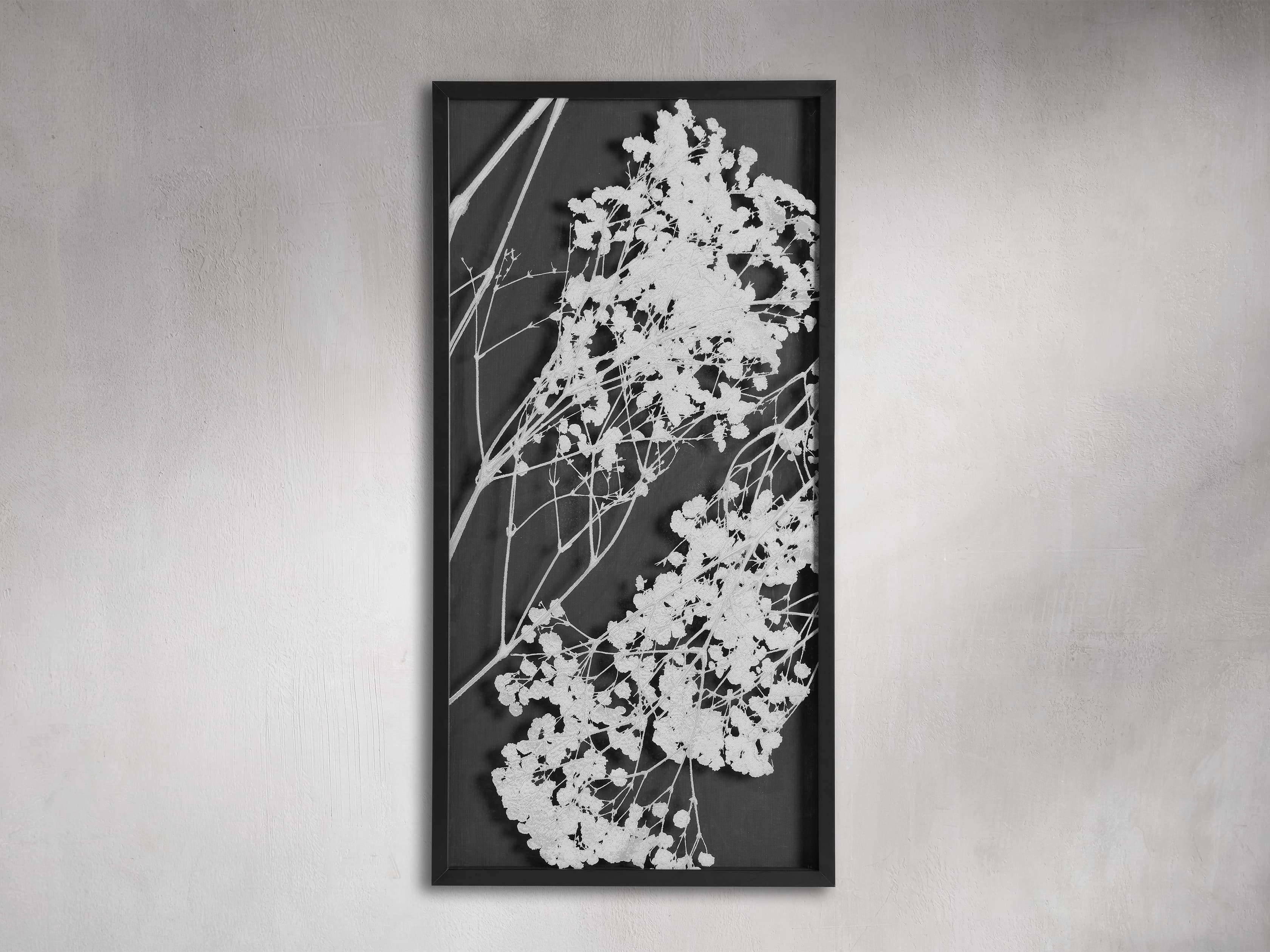 Baby's Breath II Framed Print