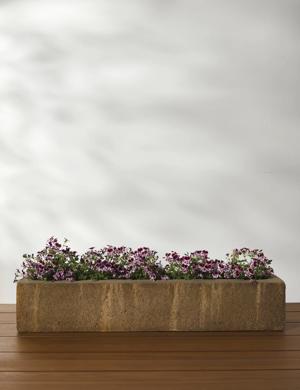 Basic Element Long Planter by Campania International -  -