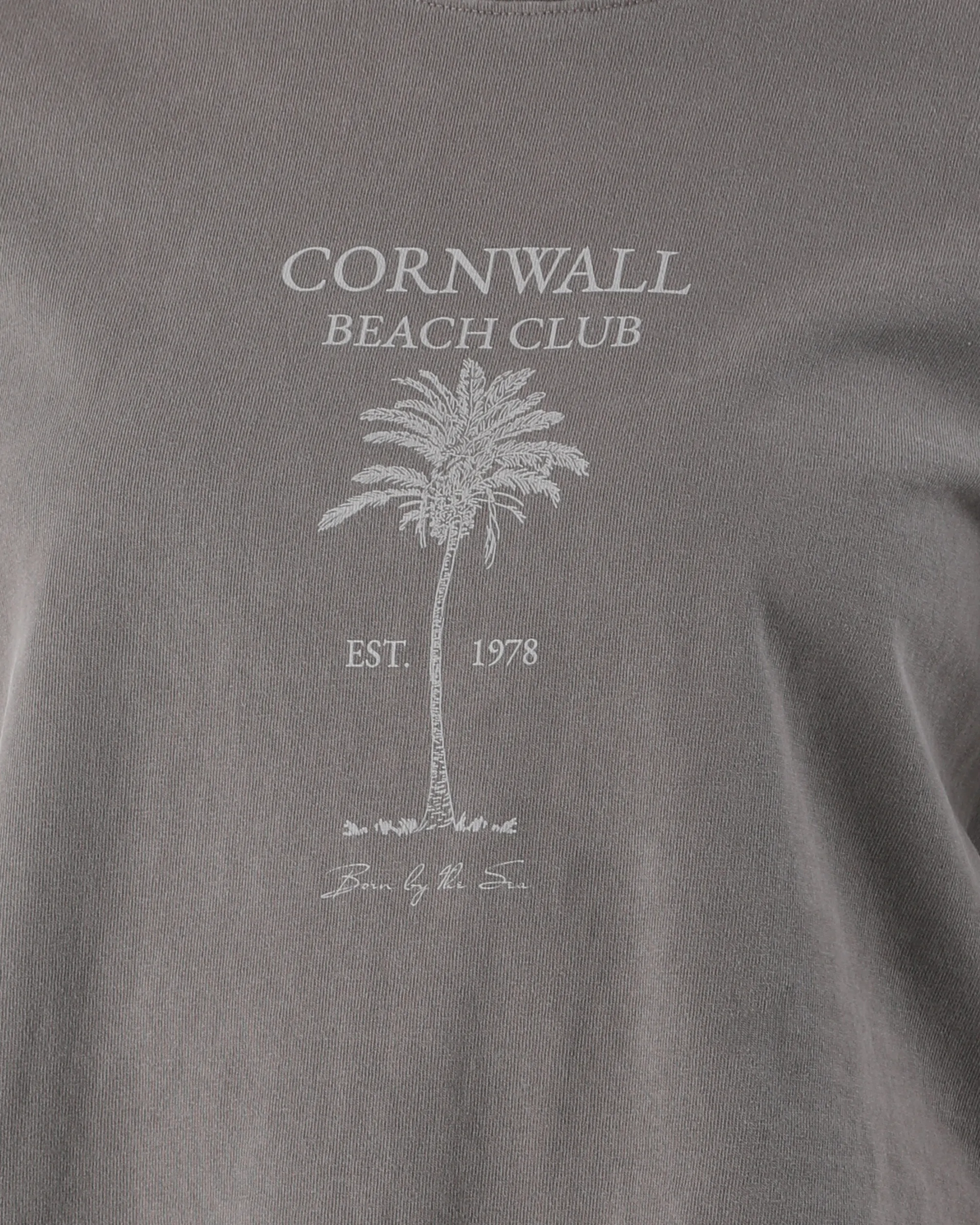 Beach Club Crop T-Shirt in Faded Grey