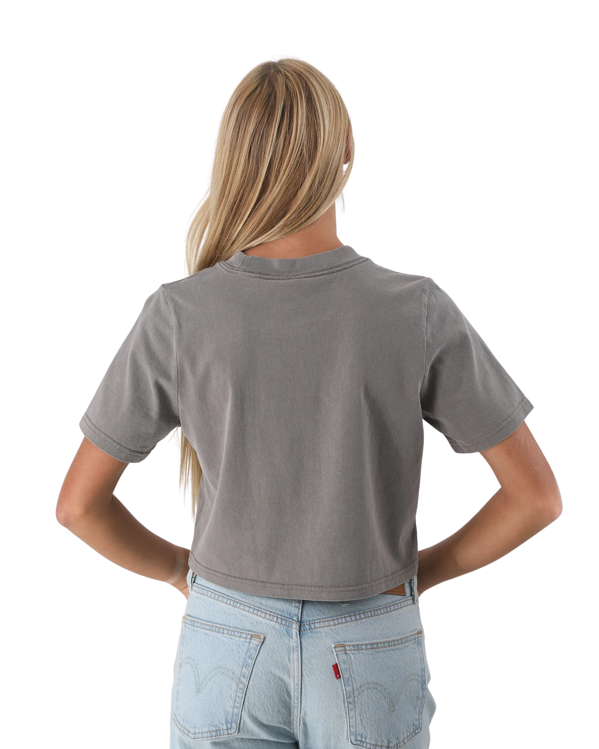 Beach Club Crop T-Shirt in Faded Grey