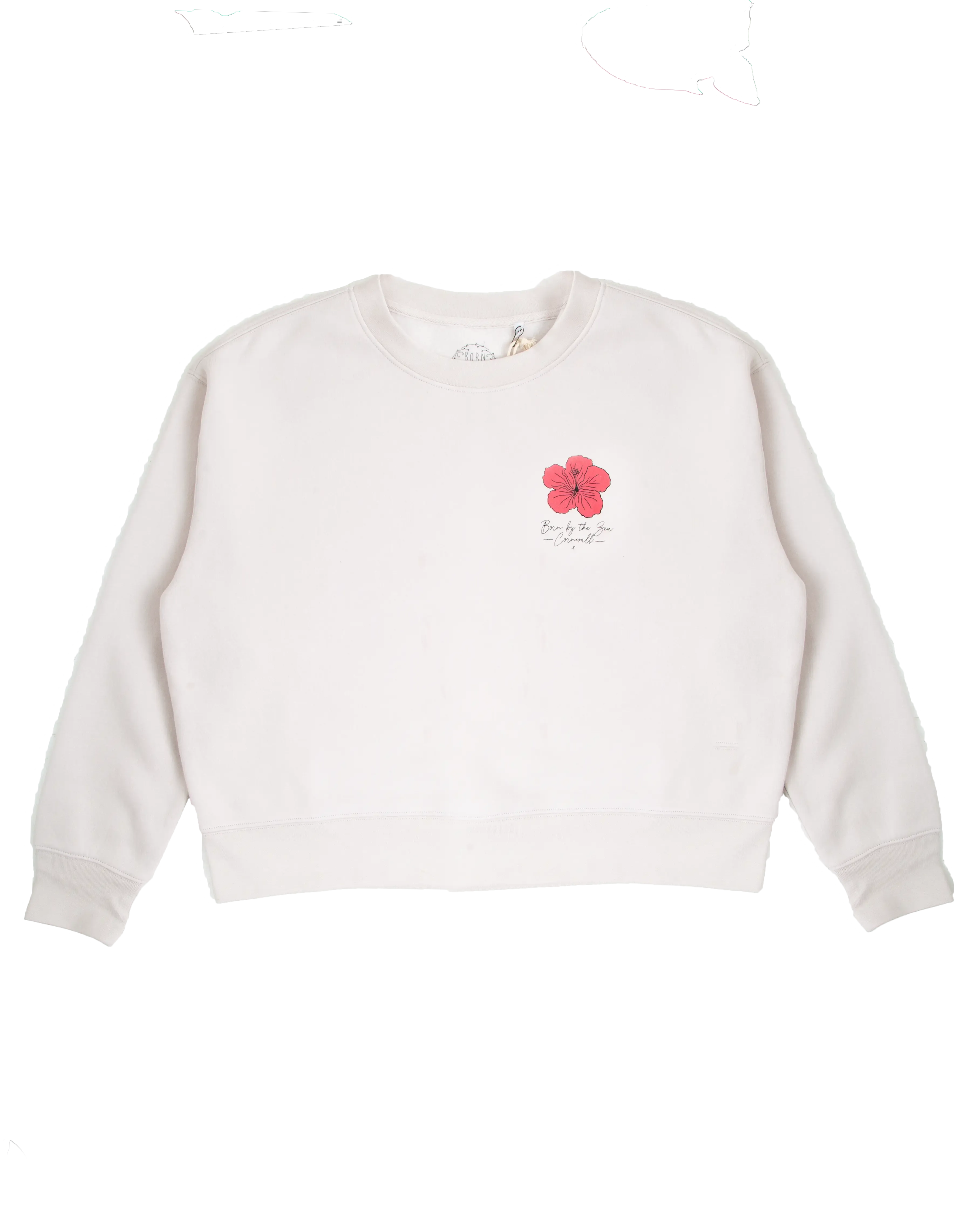 Born by the Sea Surfboard Sweatshirt in Bone
