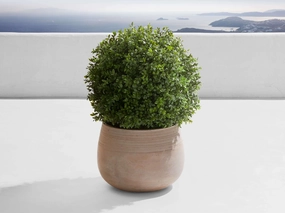 Boxwood Small Ribbed Planter