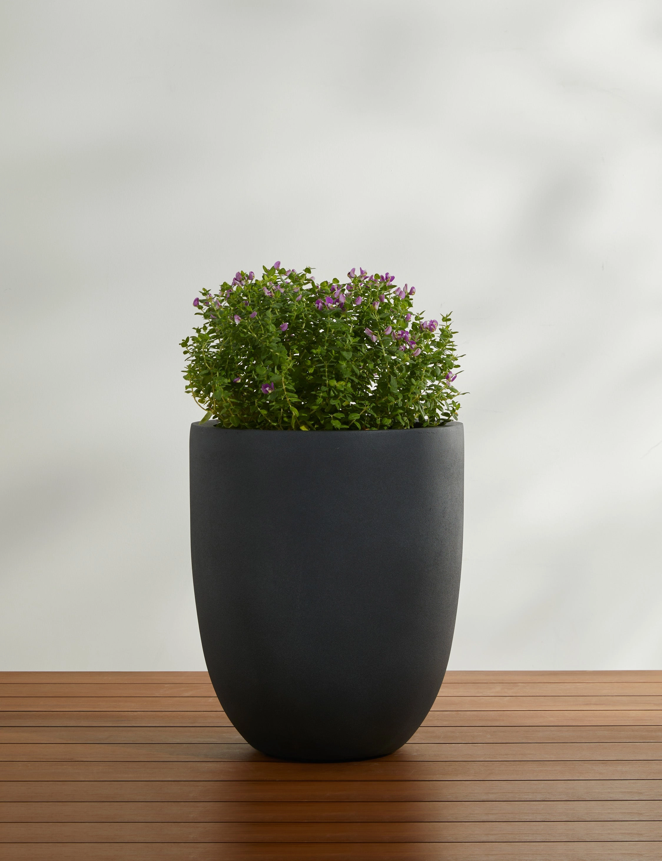 Bradford Planters by Campania International