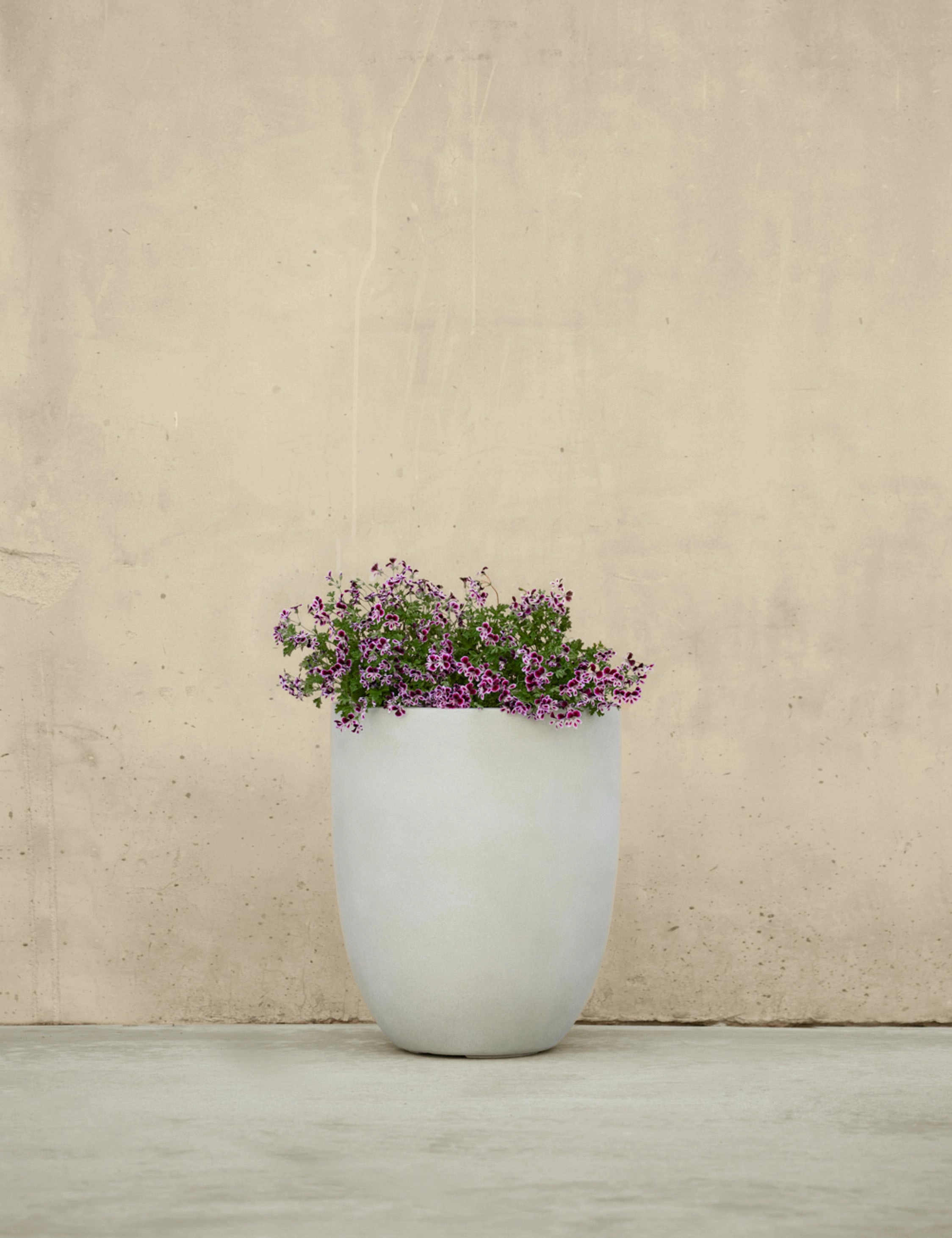 Bradford Planters by Campania International