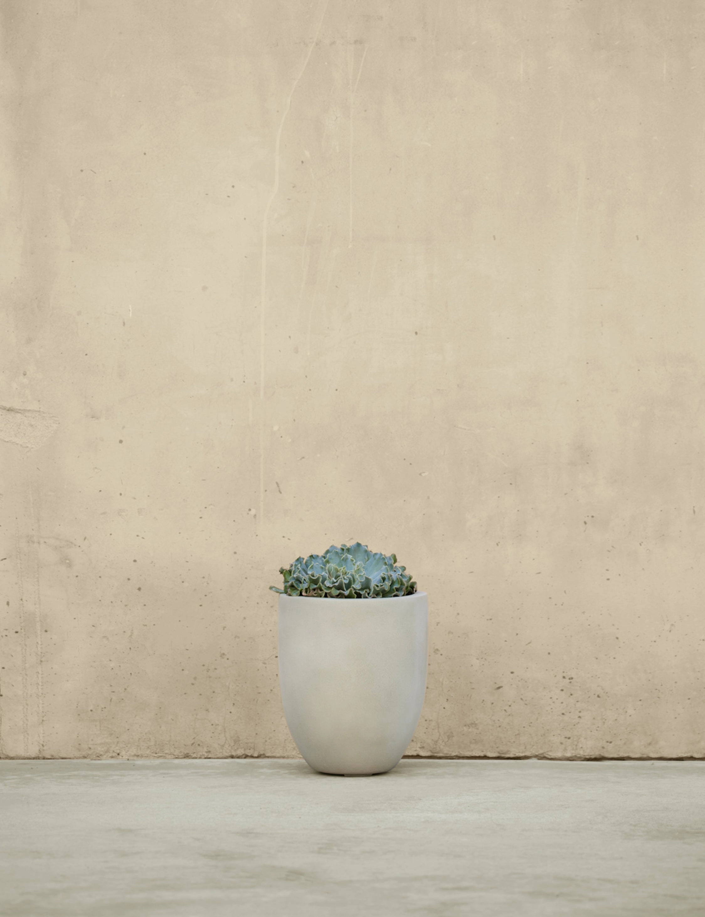 Bradford Planters by Campania International