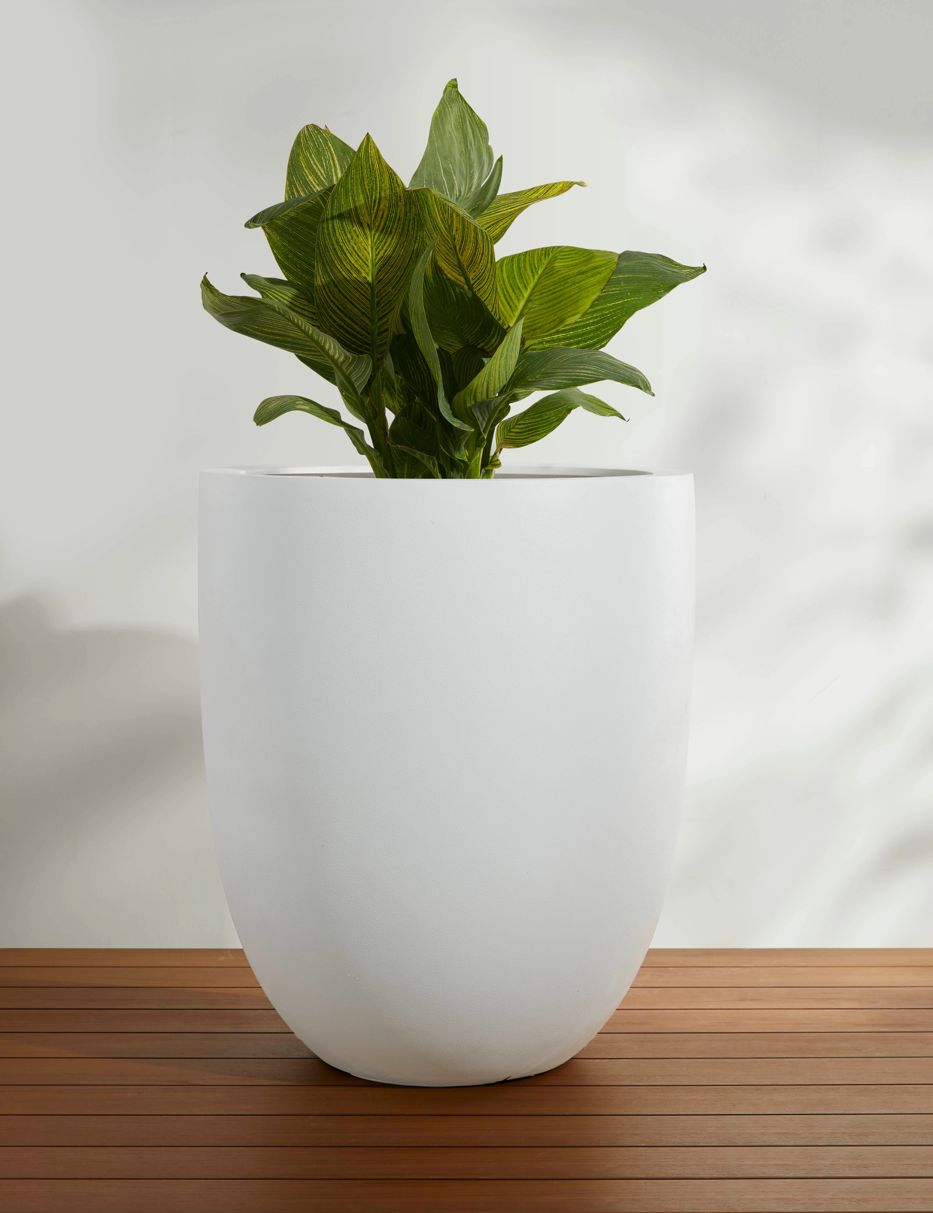 Bradford Planters by Campania International