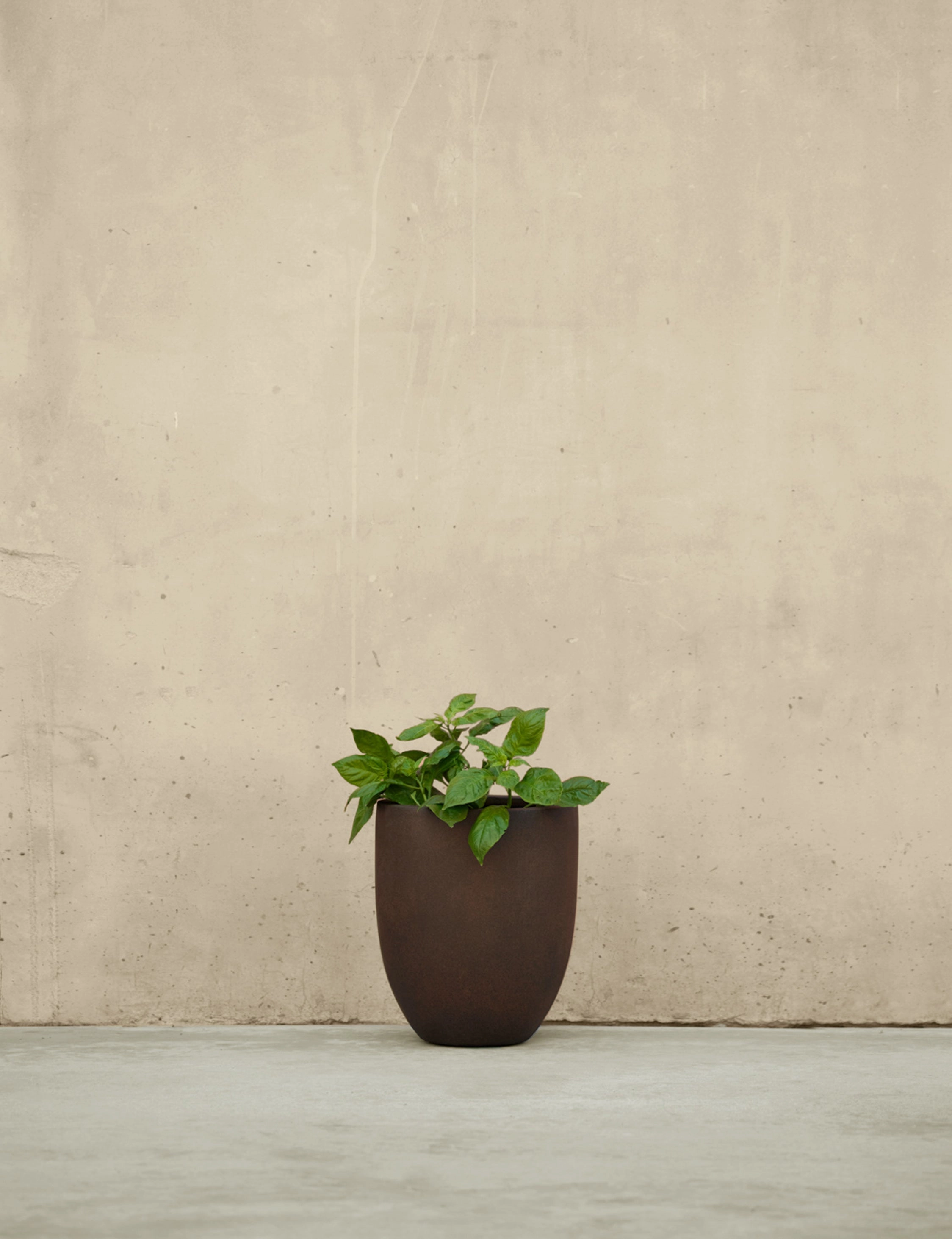 Bradford Planters by Campania International