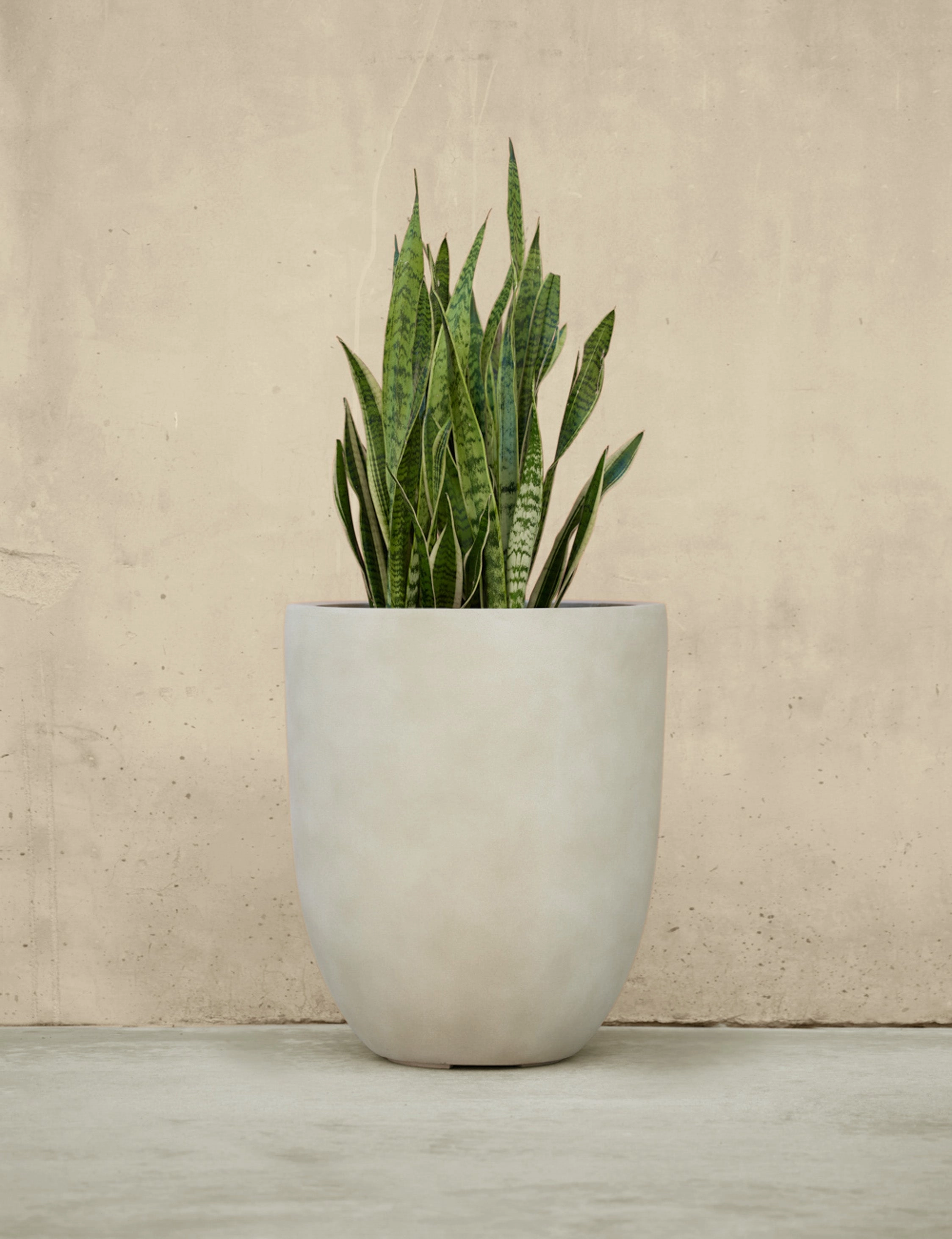 Bradford Planters by Campania International