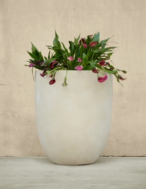 Bradford Planters by Campania International