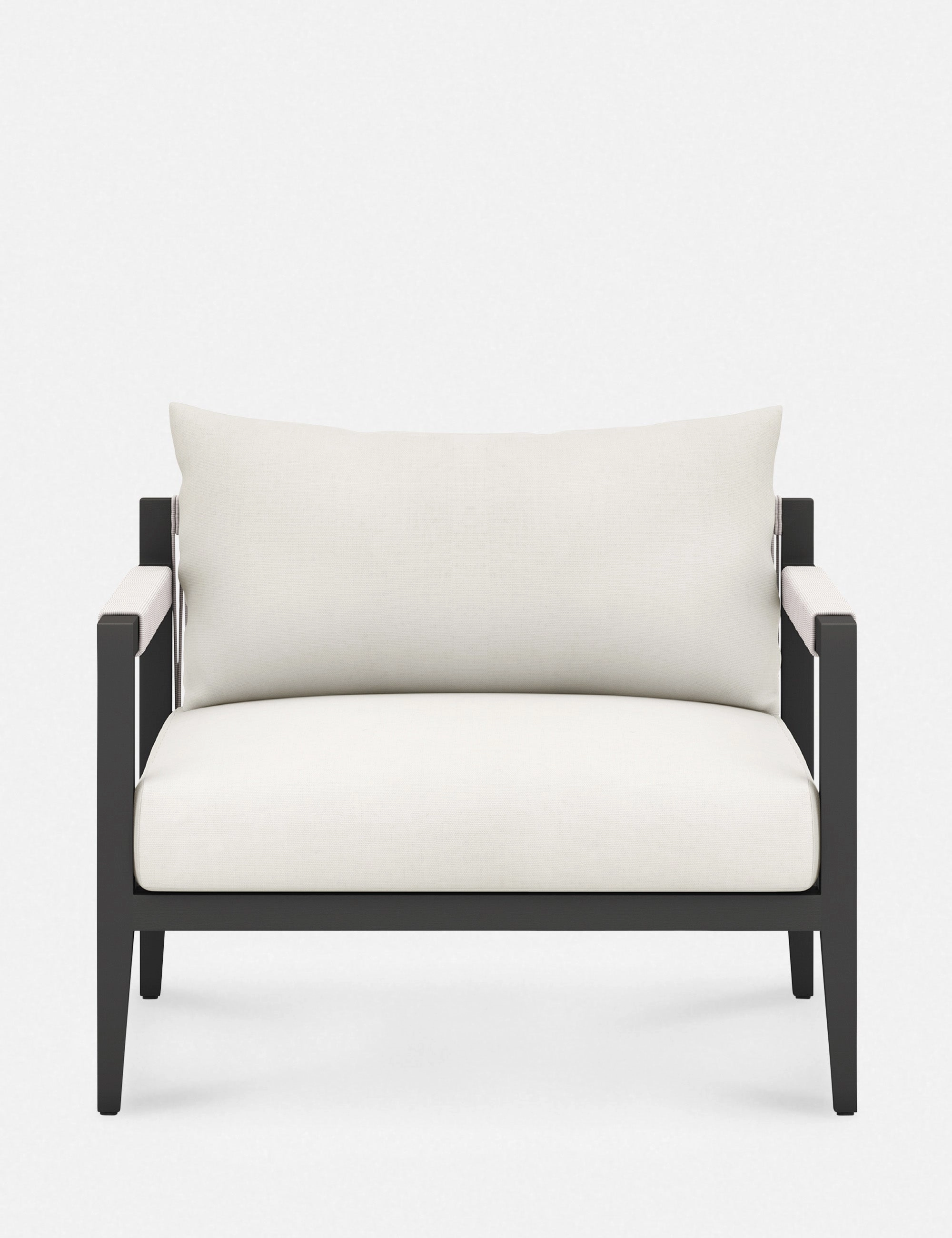 Cadenza Indoor / Outdoor Accent Chair