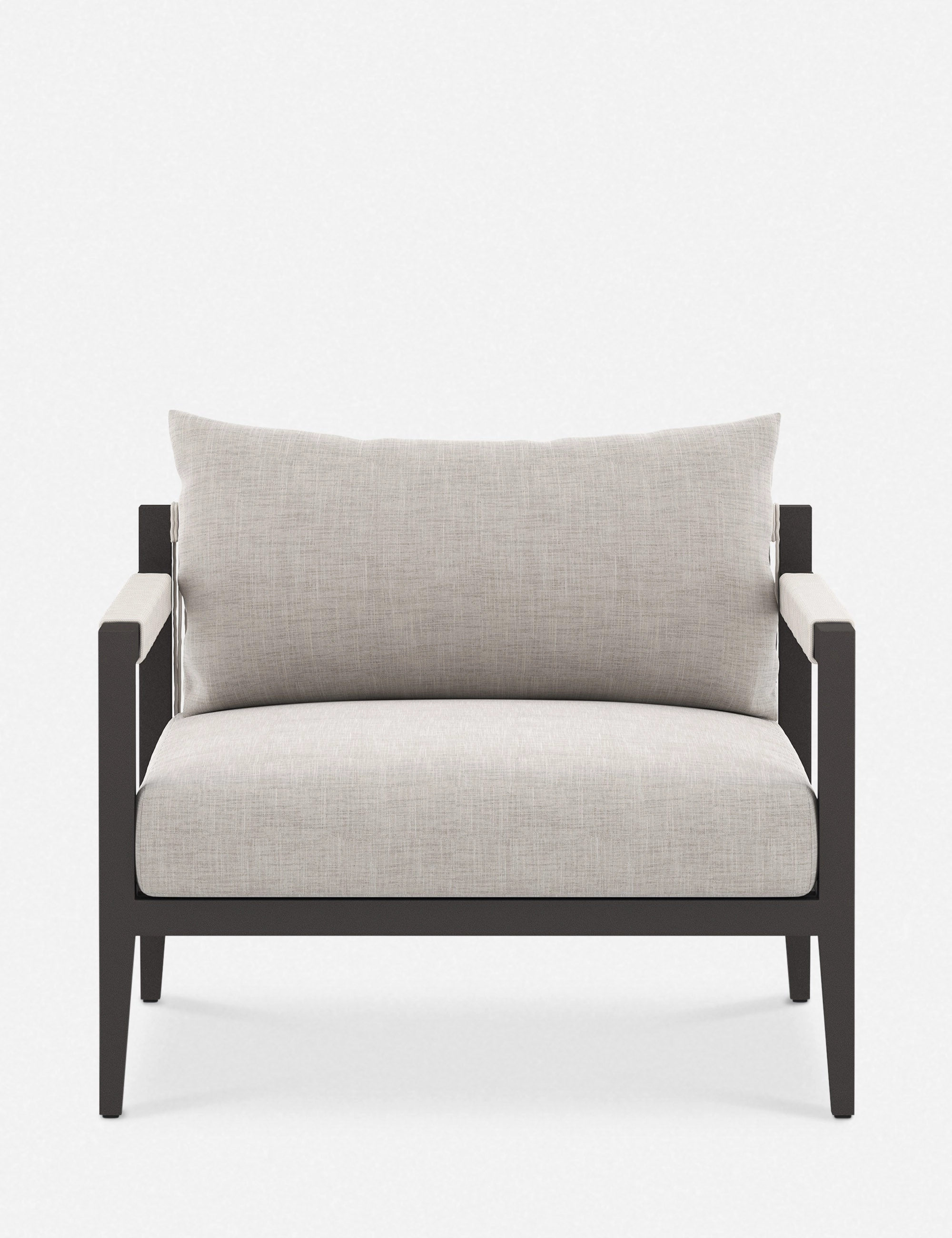 Cadenza Indoor / Outdoor Accent Chair