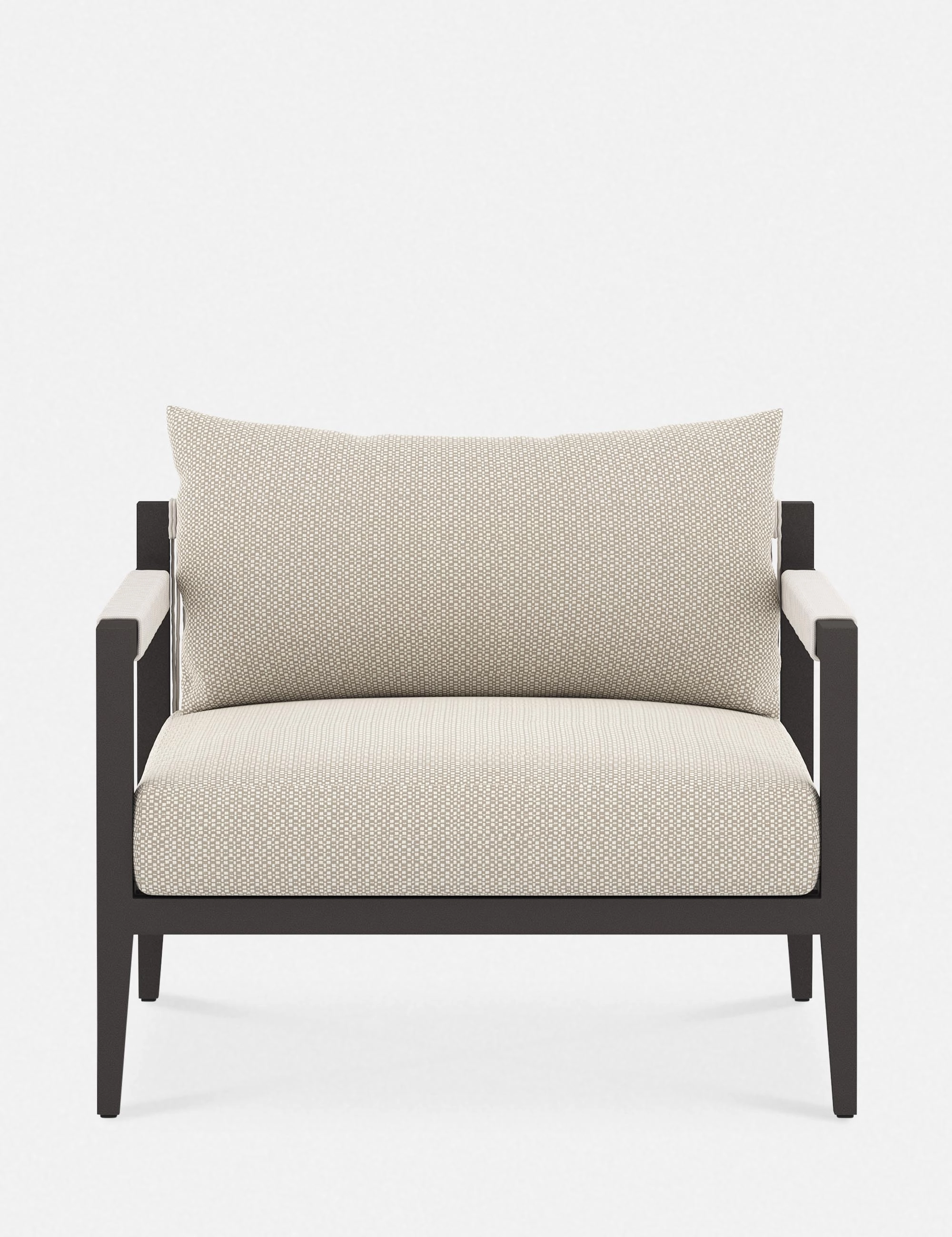 Cadenza Indoor / Outdoor Accent Chair