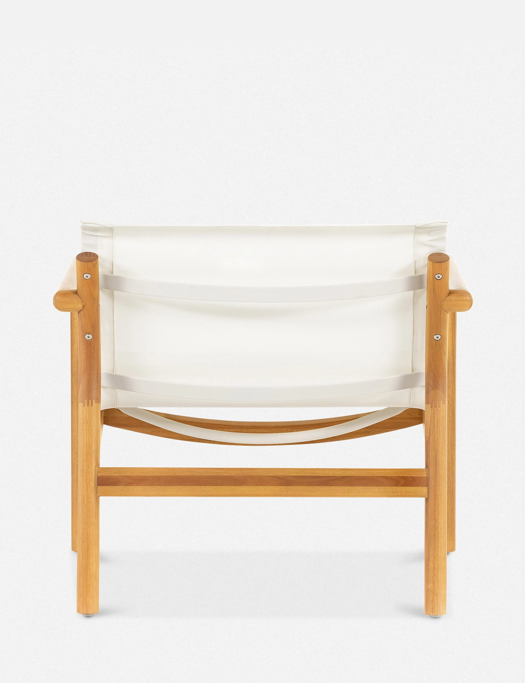 Charise Indoor / Outdoor Accent Chair