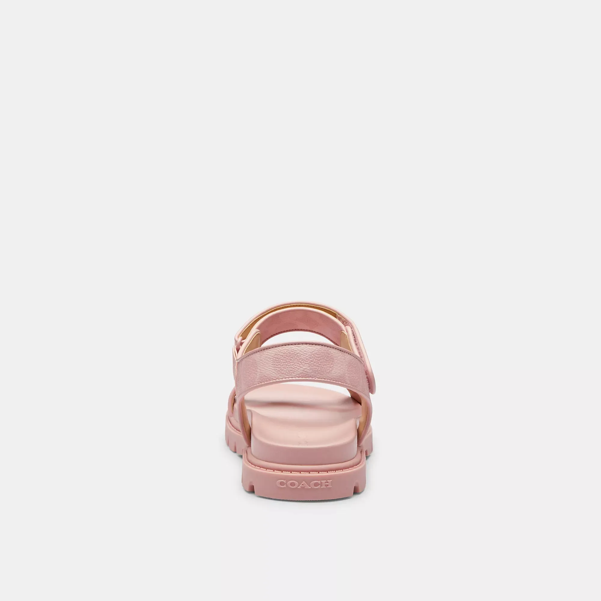 Coach Outlet Sport Sandal In Signature Canvas