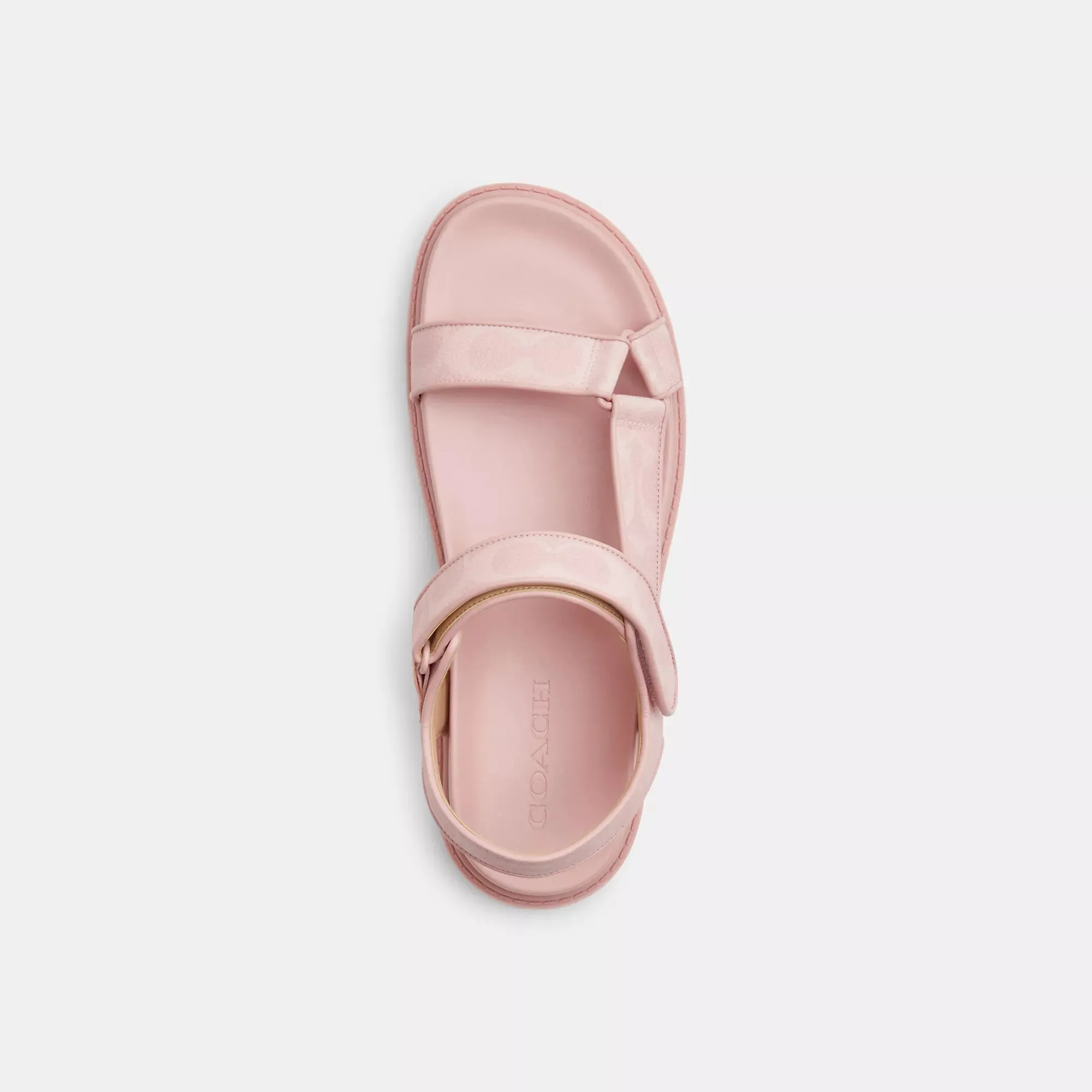 Coach Outlet Sport Sandal In Signature Canvas