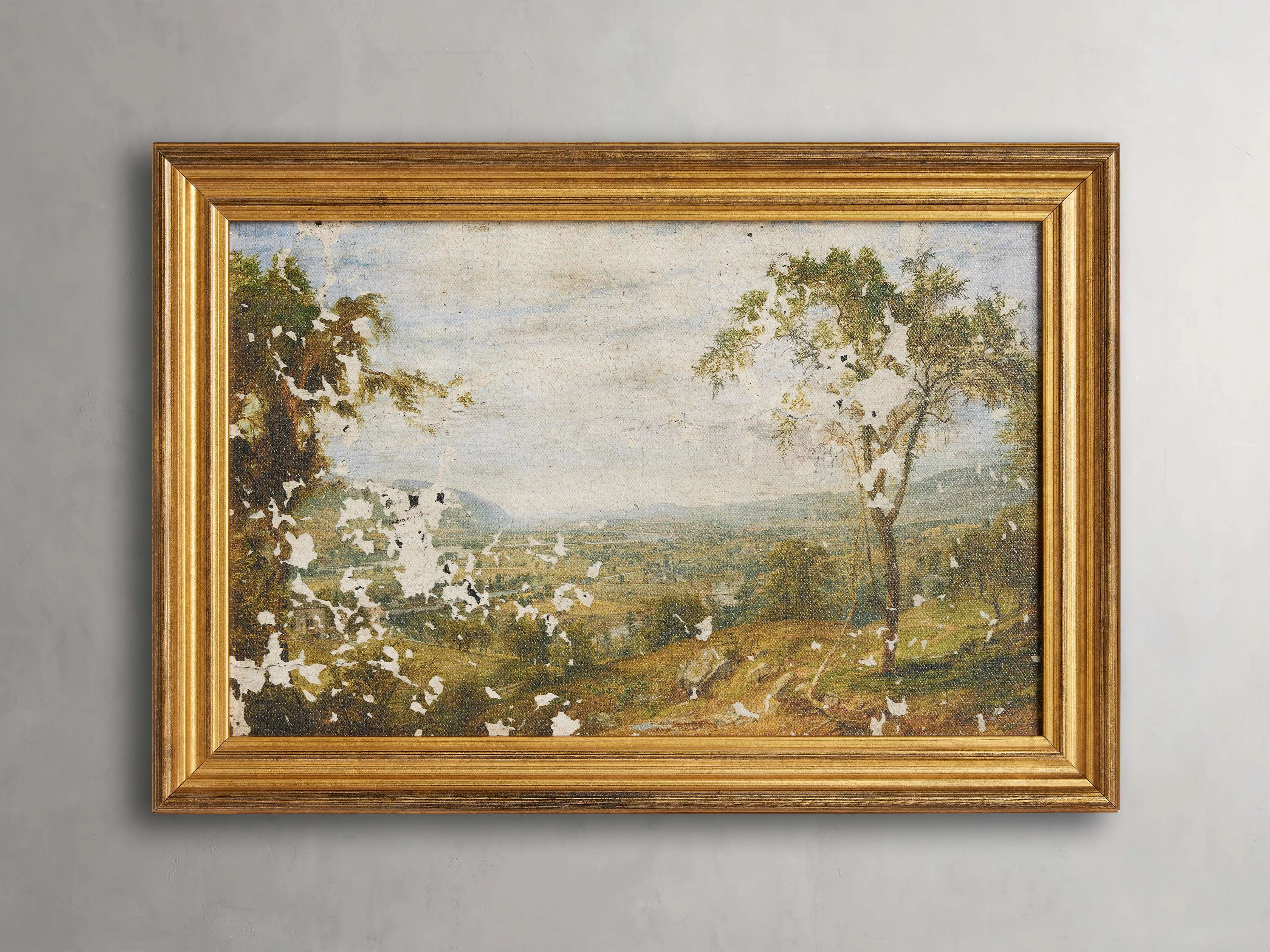 Crackled Countryside Framed Print