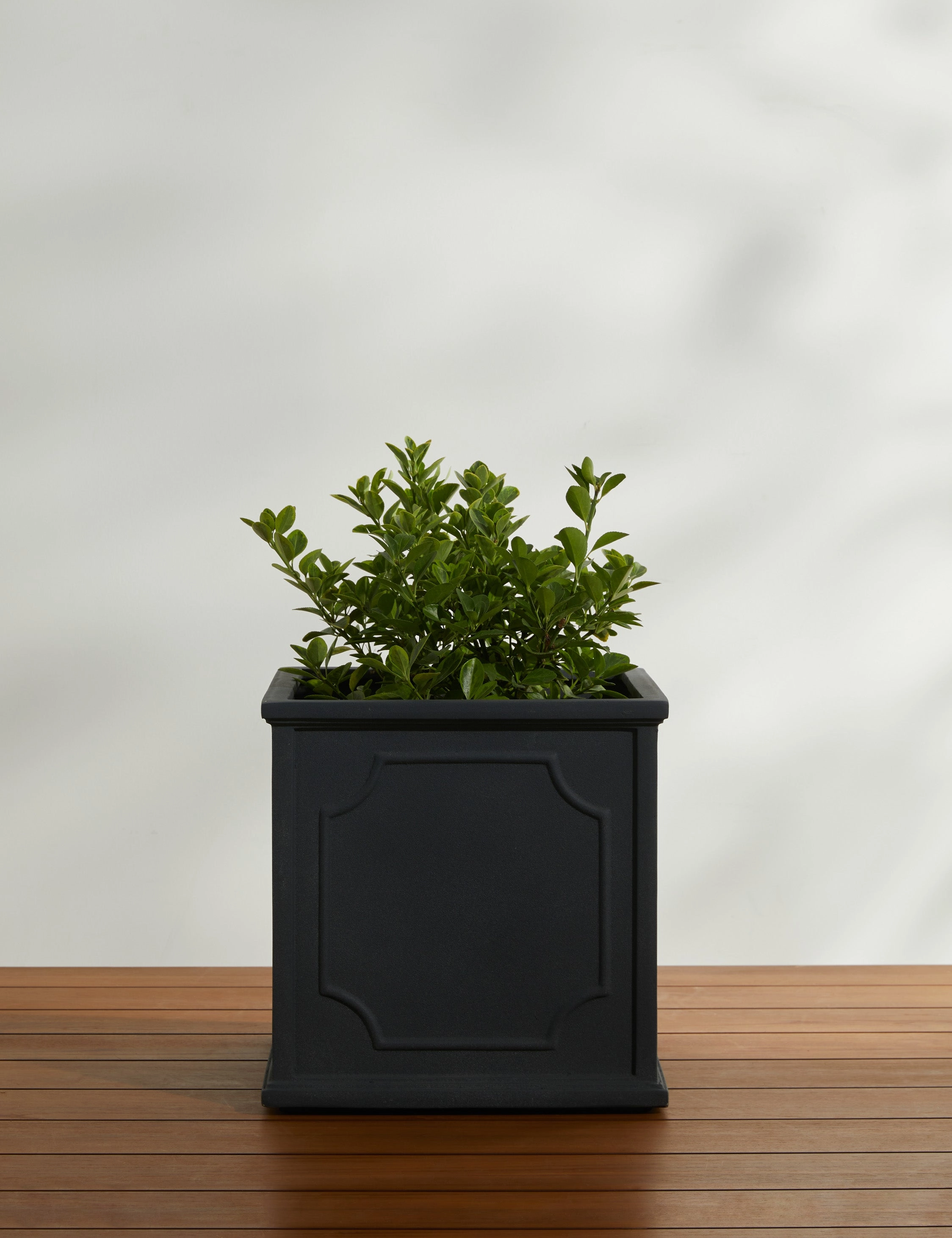 Cumberland Planter by Campania International