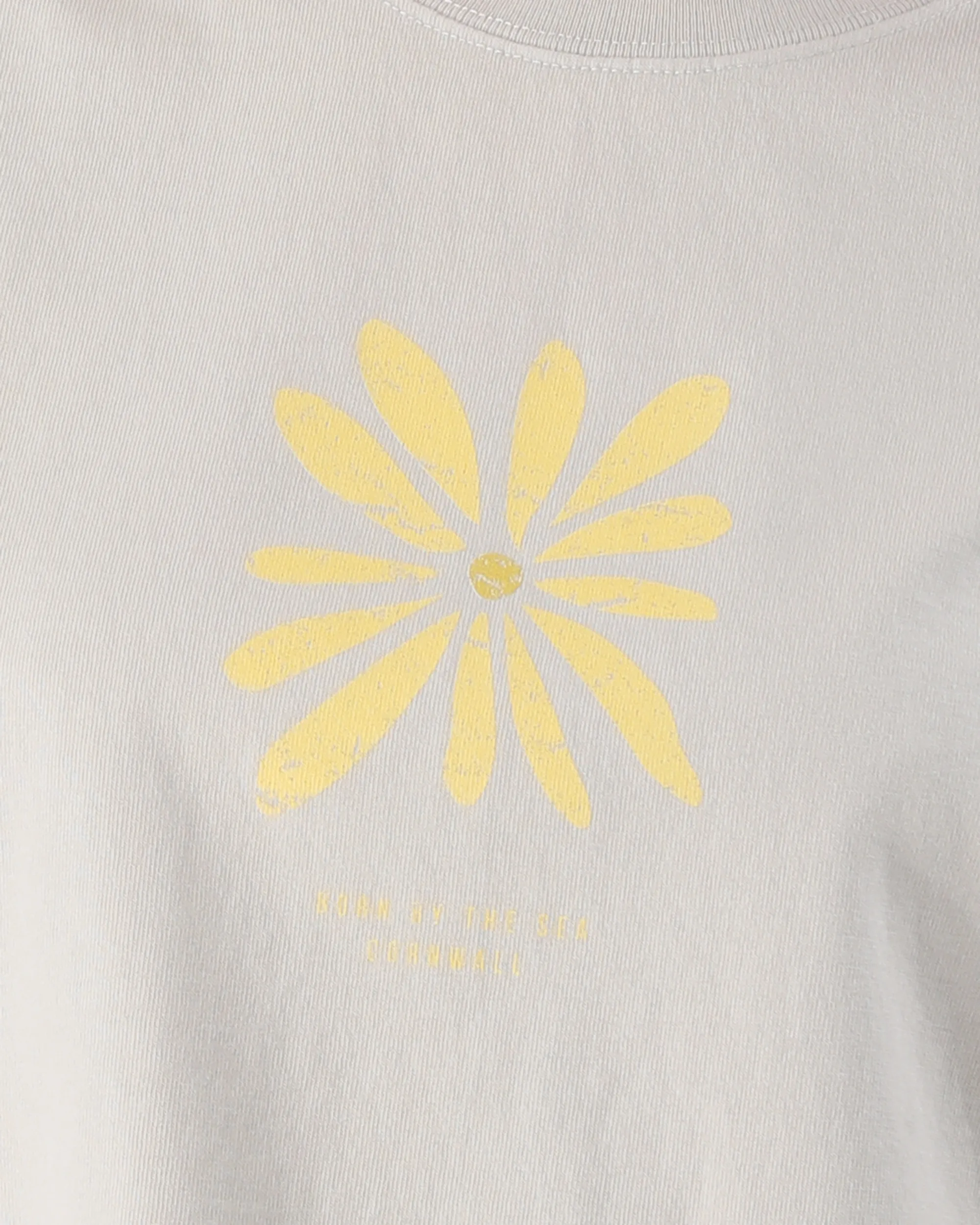 Daisy Crop T-Shirt in Faded Bone