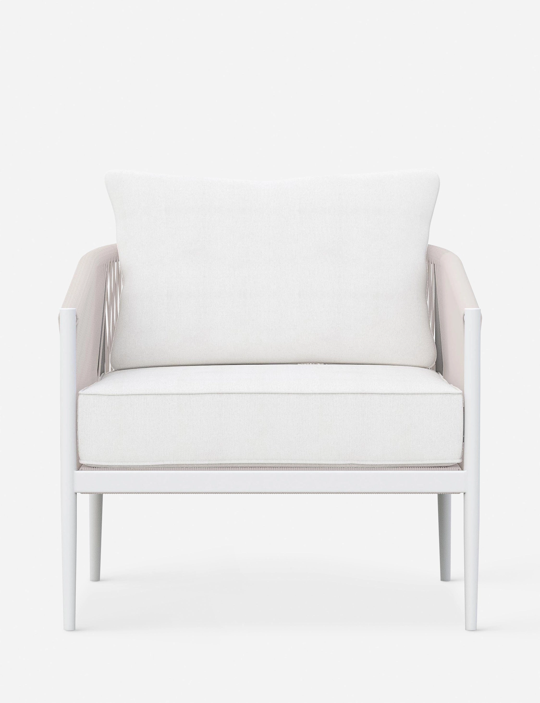 Esparza Indoor / Outdoor Accent Chair