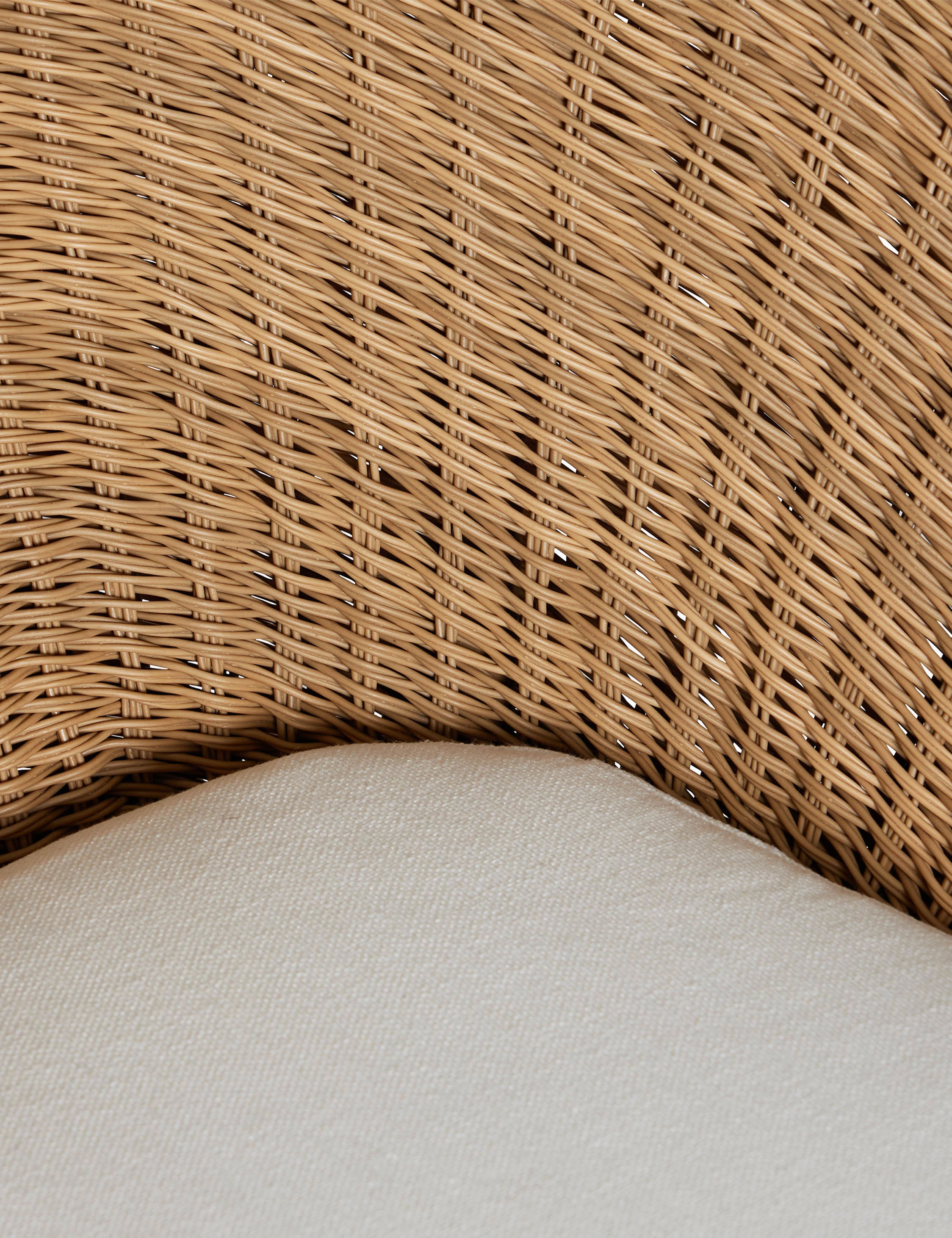Ferran Indoor / Outdoor Accent Chair