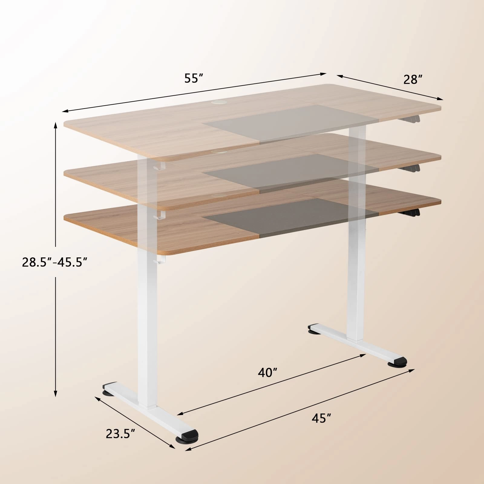 Giantex Electric Height Adjustable Standing Desk