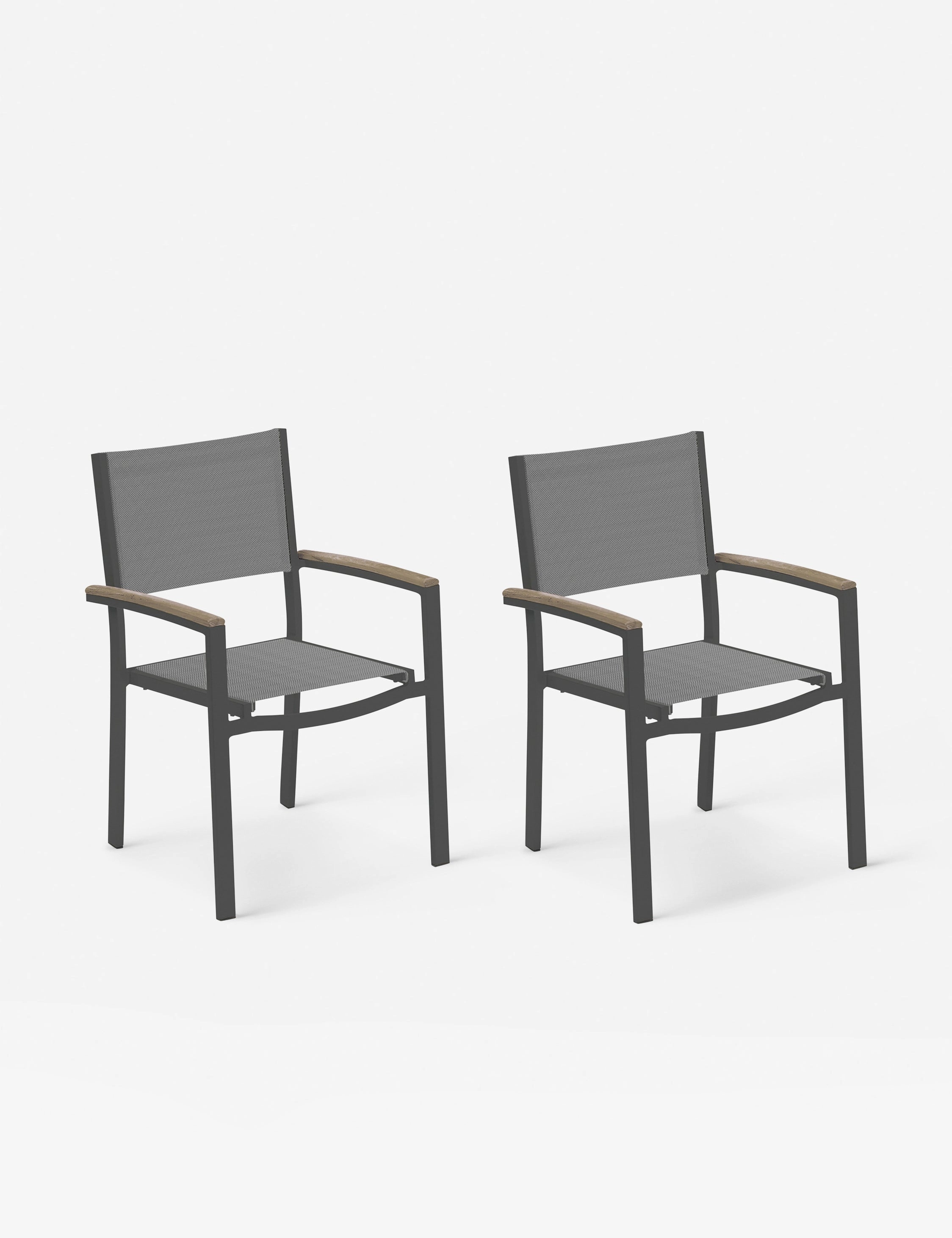 Hermes Indoor / Outdoor Dining Chair (Set of 2)