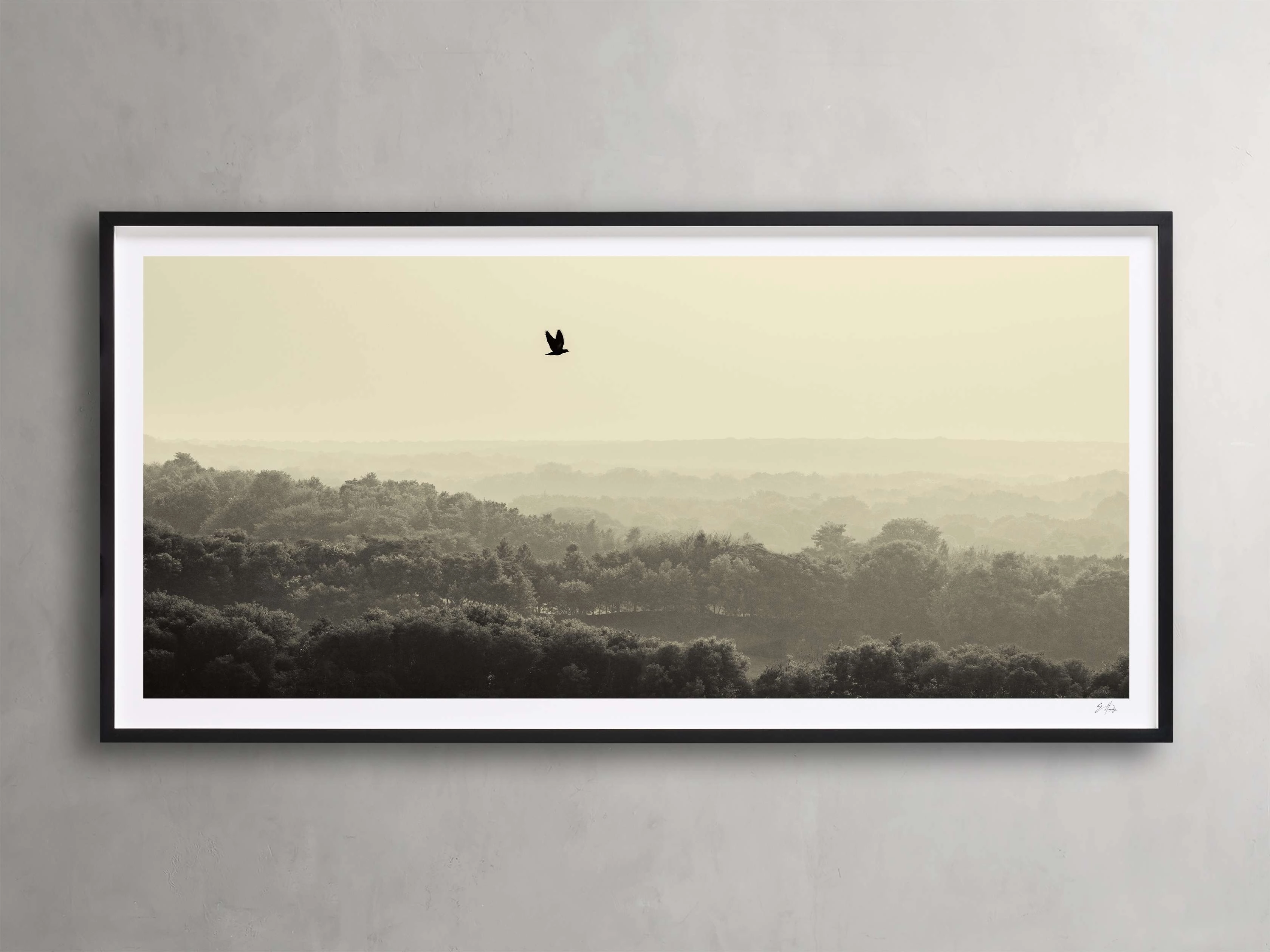 India Framed Print