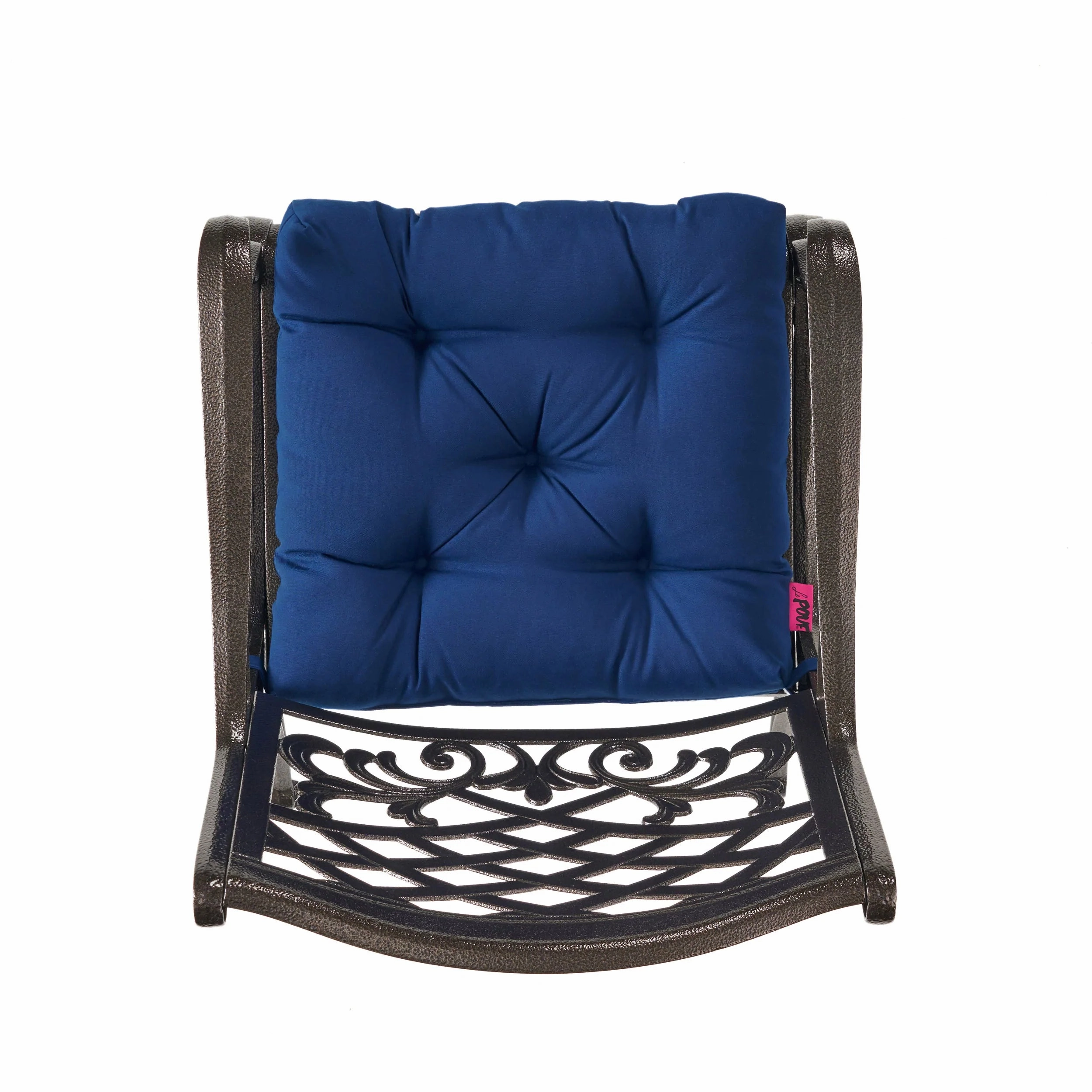 Juel Outdoor Dining Chair with Cushion (Set of 2)