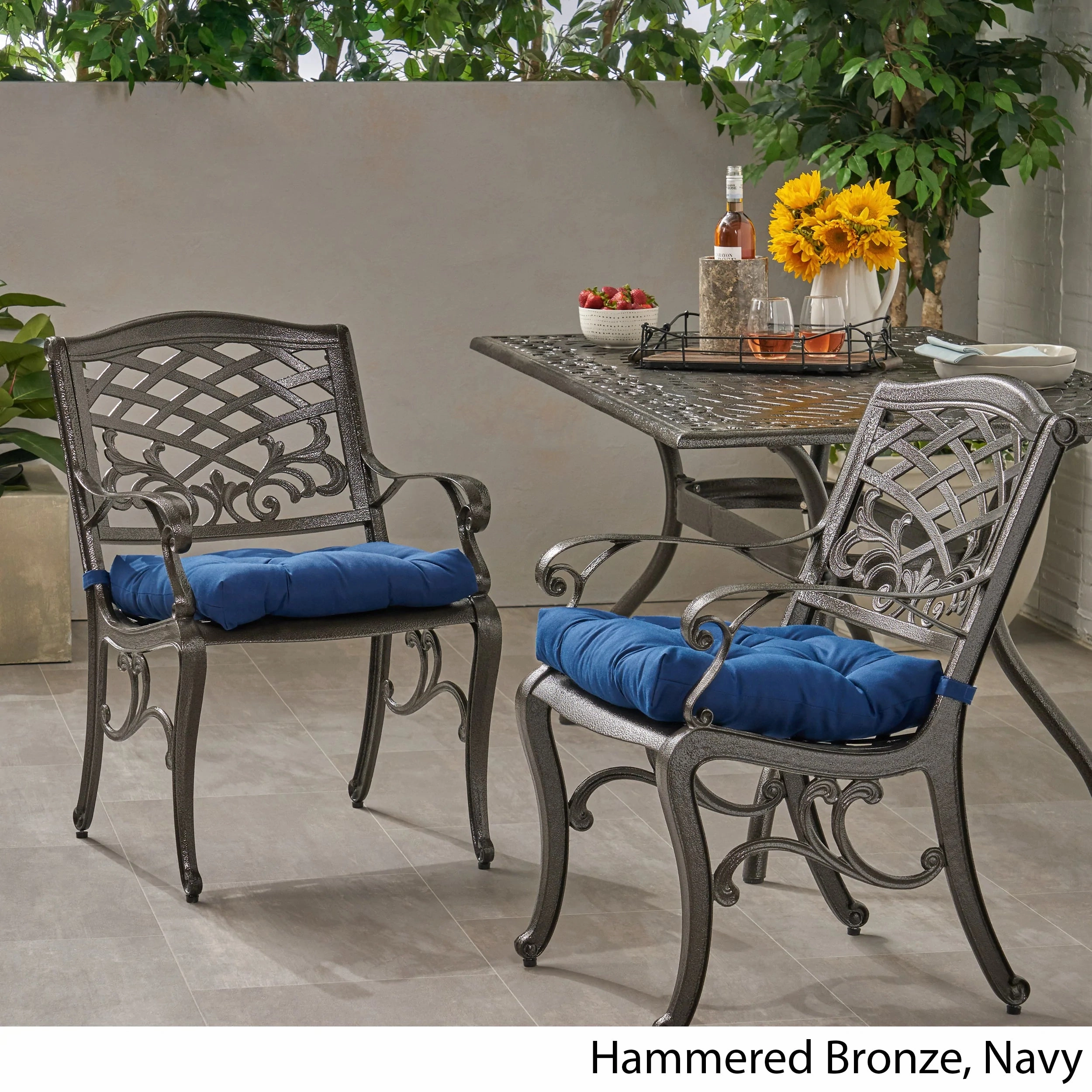 Juel Outdoor Dining Chair with Cushion (Set of 2)