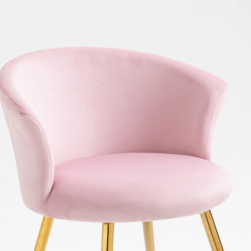 Kylie Set of 2 Pink Velvet Dining Chairs