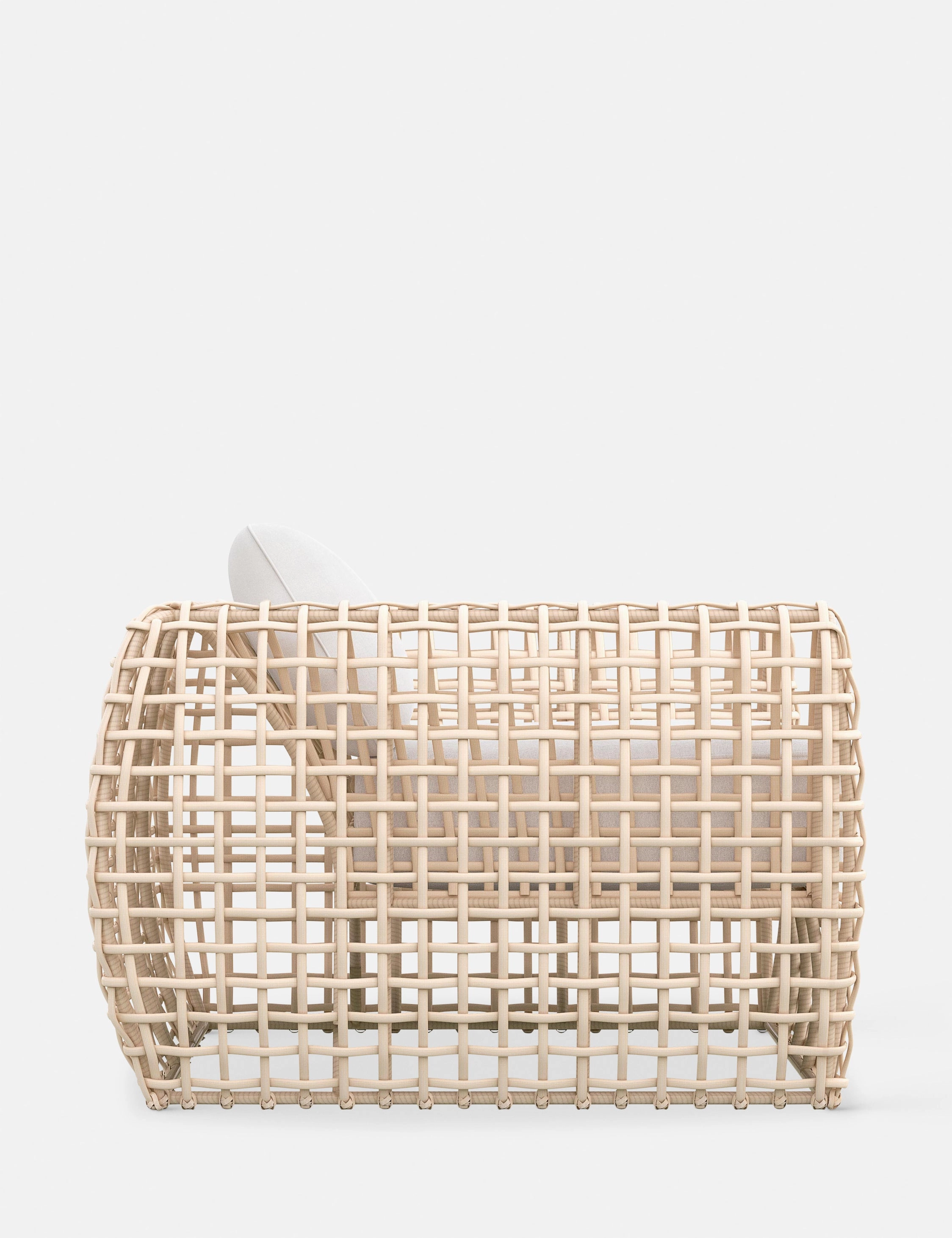 Mendoza Indoor / Outdoor Accent Chair