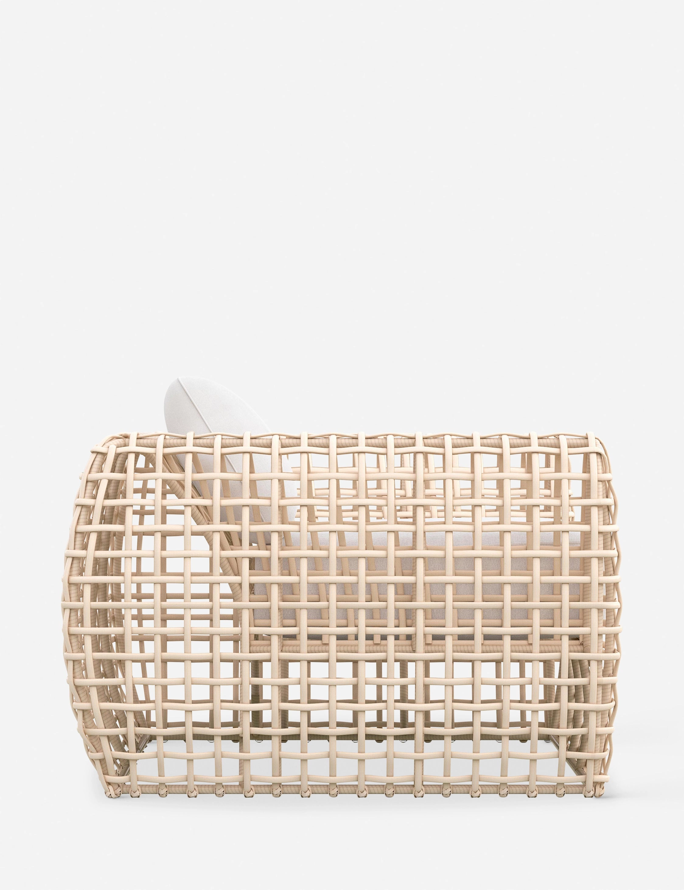 Mendoza Indoor / Outdoor Accent Chair