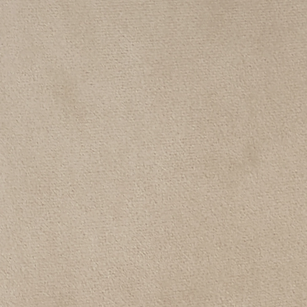 Oakley Set of 2 Champagne Velvet Upholstered Dining Chairs with Contrast Piping