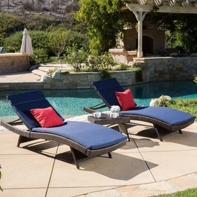 Outdoor 3-piece Wicker Adjustable Chaise Lounge Set with Cushions - NH439592 outdoor furniture, garden bench
