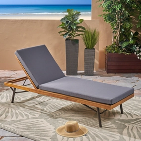 Outdoor Acacia and Eucalyptus Chaise Lounge, Teak Finish and Dark Gray - NH920603 outdoor furniture, garden bench