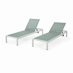 Outdoor Chaise Lounges (Set of 2) - NH161313 outdoor furniture, garden bench