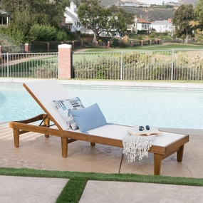 Outdoor Mesh Chaise Lounge with Acacia Wood Frame - NH536303 outdoor furniture, garden bench