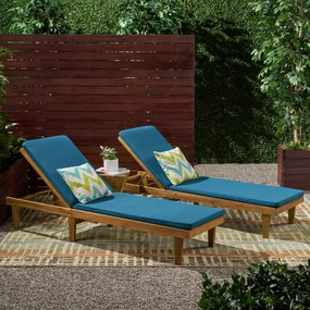 Outdoor Modern Acacia Wood Chaise Lounge with Cushion (Set of 2) - NH057013 outdoor furniture, garden bench