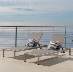 Outdoor Modern Gray Mesh Chaise Lounge with Wheels (Set of 2) - NH268692 outdoor furniture, garden bench