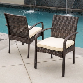 Outdoor Multibrown PE Wicker Dining Chairs (Set of 2) - NH066592 outdoor lounge chair, patio sofa