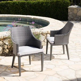 Outdoor Wicker Dining Chairs with Water Resistant Cushions (Set of 2) - NH064203 outdoor lounge chair, patio sofa