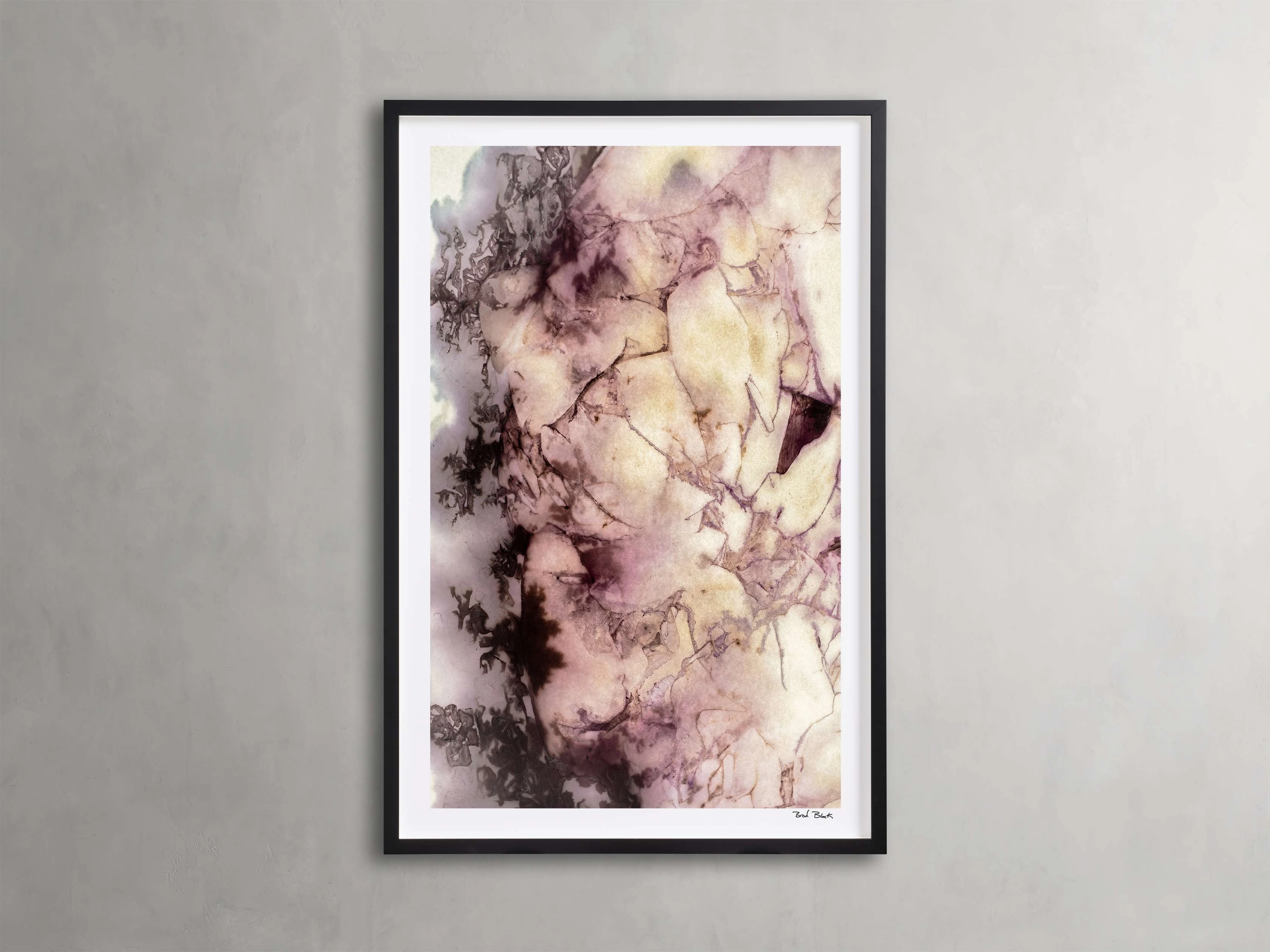 Peony Universe Framed Print