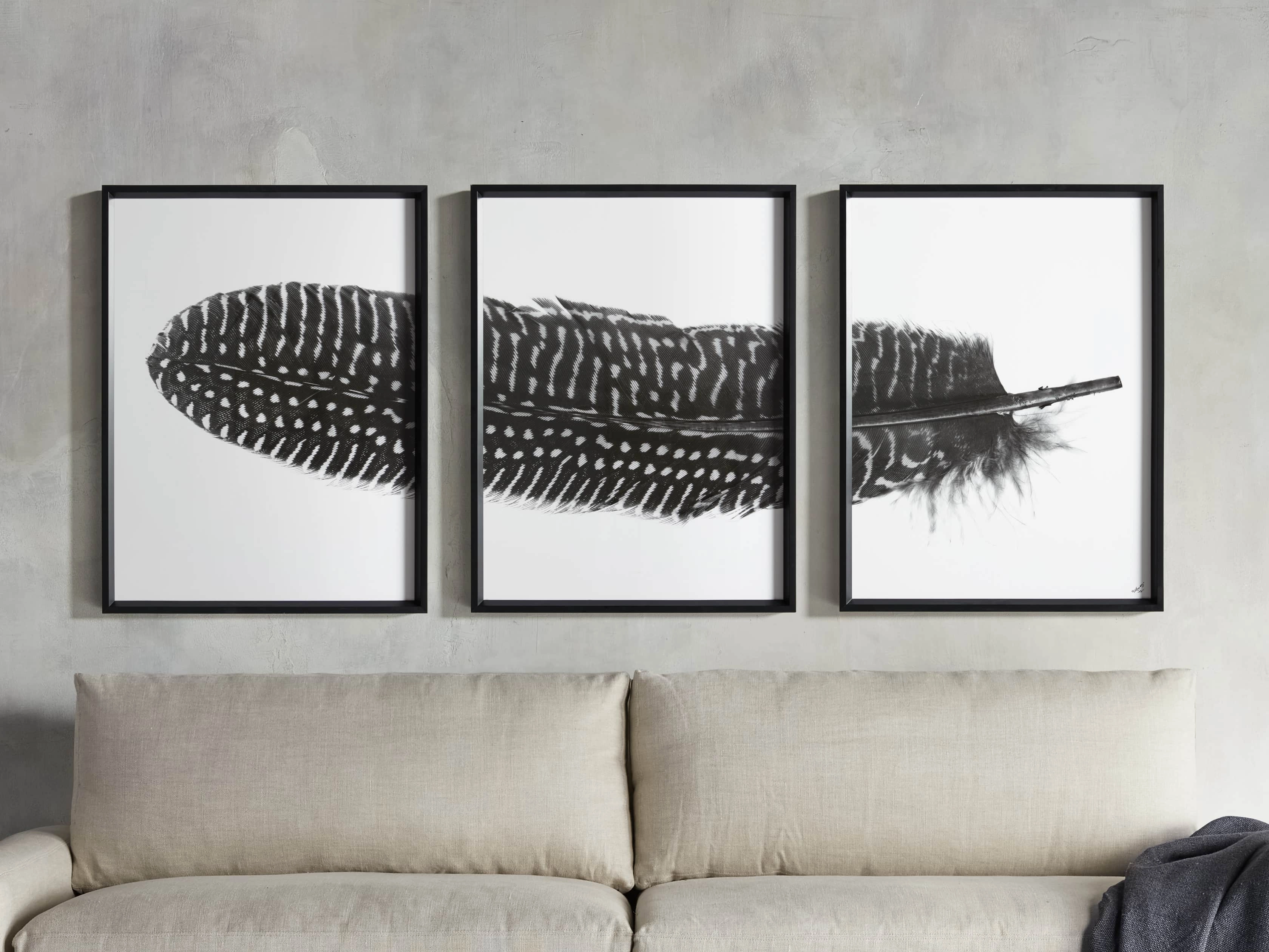 Pheasant Feather Framed Print (Set of 3)