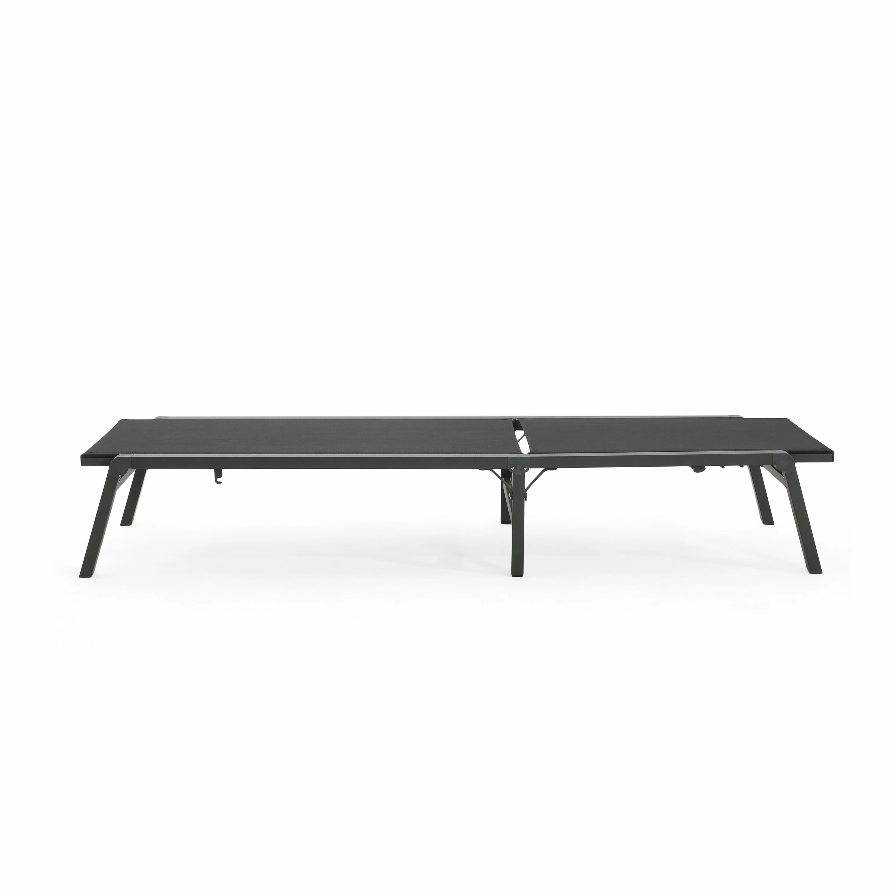 Salalh Outdoor Aluminum Folding Chaise Lounge, Set of 2