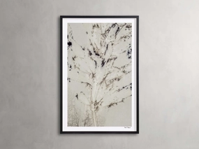 Sense of Salvia Framed Print